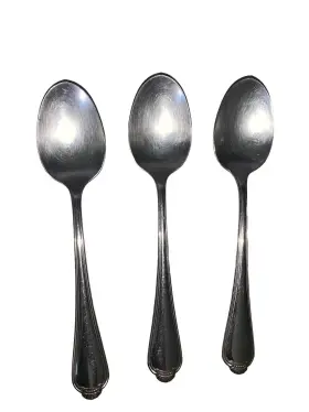 Oneida Ohswih/tsx4 Distinction Deluxe Hh Stainless Winter Hill Soup Spoons - Set Of 3