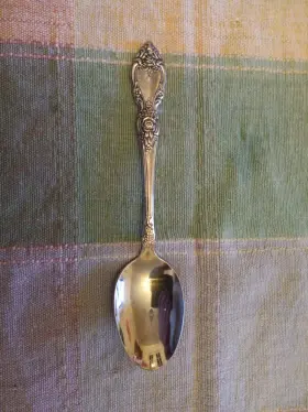Osw3 Oneida Ohswor/f1 Stainless Flatware - Wordsworth Table/soup Spoon Usa Made