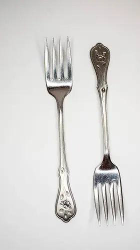 00101 Oneida Princess House 2 Dighton Rose Stainless Salad Forks Set Of