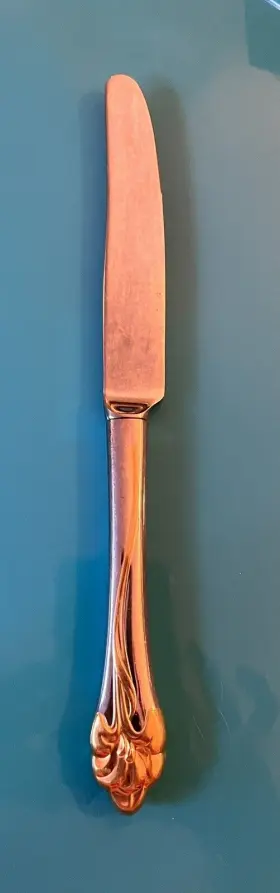 092524 Oneida Silver 092524- Golden Amaryllis Stainless With Gold Accent Dinner Knife