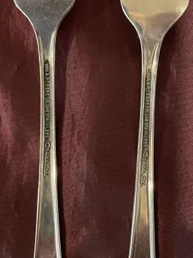 73390 Oneida Wm Rogers Summer Mist Autumn Glow Deluxe 2 Dinner Forks Stainless Outline #2
