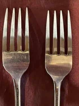 73390 Oneida Wm Rogers Summer Mist Autumn Glow Deluxe 2 Dinner Forks Stainless Outline #3
