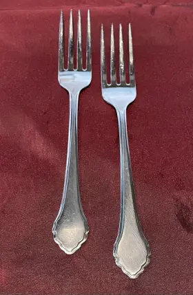 73390 Oneida Wm Rogers Summer Mist Autumn Glow Deluxe 2 Dinner Forks Stainless Outline