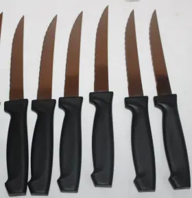 7665579 Pfaltzgraff Everyday Stainless Steel Serrated Steak Knife Set 11 Knives Black