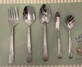 E56-pcbag Pfaltzgraff 18/8 5 Piece Serving Set