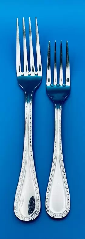 Pbn23 Pottery Barn Beaded Dinner And Salad Fork Stainless Flatware Silverware #3