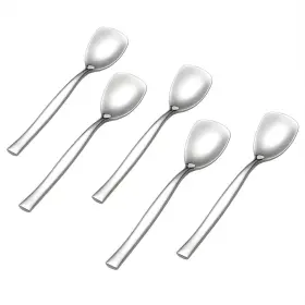 Qskely 611982040160 12-piece Stainless Steel Ice Cream Spoons Yogurt Spoon