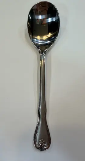 Reed & Barton 735092170972 And Bristol Matte Sugar Spoon 18/8 Stainless Euc
