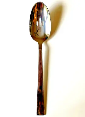 T657sbsf Sant Andrea Santft Oneida Fulcrum Solid Pierced Serving Spoon Oversized Stainless 13 Inch