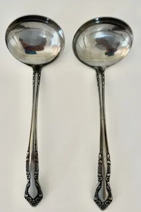 Tws142 Supreme Cutlery Towle 2 Pcs Stainless Japan Ladle Vintage Silverware