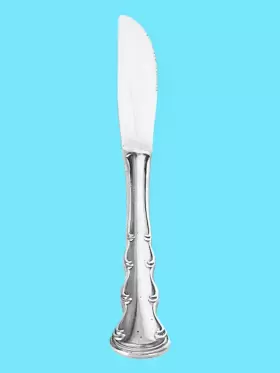Tws111 Towle Silver Scc Supreme Stainless Glossy Flatware Hollow Dinner Knife