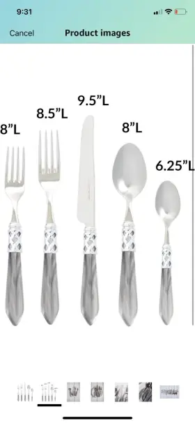 Vietri 663698396901 Aladdin Brilliant Gray Flatware Stainless 5 Pc Place Setting New