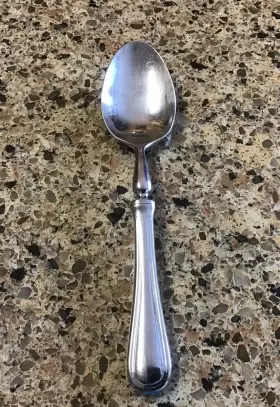 Wsf-15 Williams-sonoma Solid Serving Spoon 9 1/4 Inch Stainless 18/10 France