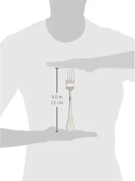 0034-11 Winco Usa Stanford 12-piece Table Fork Set 18-8 Stainless Steel #2