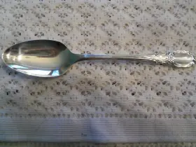 73154 Wm. A. Rogers Oneida Park Lane - Chatelaine Dowry Teaspoon Silverplate