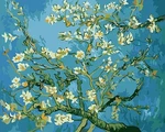 Almond Blossom Framed Paint By Numbers For Adults Diy Wall Art Decor Kit. Fixed Price $23.99.