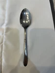 Everlasting Stainless Usa Evr 1 Pattern Serving Spoon Glossy W/star 8". Fixed Price $9.00.