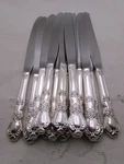 Rogers Heritage Silverplate Dinner Knives - Set Of 14. Fixed Price $39.99.