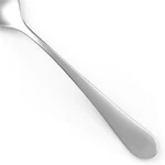 Gourmet Settings GON17 Stainless 18/10 Glossy Silverware Choice Flatware. Fixed Price $5.90.