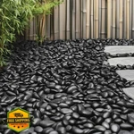 Msi Decorative Polished Black Pebbles 0.8-1.2 Inch 40 Lb Bag. Fixed Price $47.85.