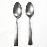 Oneida Nocha Teaspoons Set Of 2 Stainless Steel Satin Finish Dessert Mcm. Fixed Price $11.99.