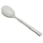 Fortessa Royal Pacific 18/10 Stainless Steel Flatware Serving Spoon, Silver. Fixed Price $30.75.