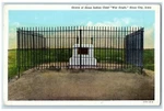 C1940S Grave Of Sioux Indian Chef War Eagle City Iowa Unposted Postcard. Fixed Price $5.82.