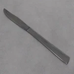 Sohnaco SOO2 Dinner Knife Stainless Steel. Fixed Price $6.95.