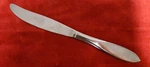 Mse Martha Stewart Everyday MFS17 Dinner Knife Stainless Glossy Flatware 8 3/4". Fixed Price $5.20.