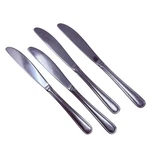 4 Dinner Knives Knife Edgebrook Pfaltzgraff Stainless Flatware Glossy Outlined. Fixed Price $5.00.