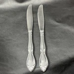 Oneida Chatelaine Dinner Knife Lot Of 2 Betty Crocker 8.75". Fixed Price $12.23.