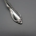 Oneida Community Stainless Chatelaine Flatware - Silverware * Your Choice. Fixed Price $6.98.