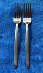 Hampton Silversmiths HSV190 18/10 Stainless Dinner Forks Pair Frosted Handle. Fixed Price $24.00.