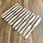 Carlyle (12) Dinner Knife Stainless 8 3/4IN Replacement CAY-1. Fixed Price $26.00.