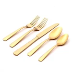 Oneida Aptitude Champagne- Stainless Steel 20PC. Flatware Set (service For Four). Fixed Price $31.97.