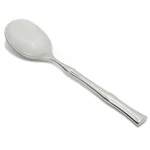 Fortessa Royal Pacific 18/10 Stainless Steel Flatware Serving Spoon, 10-INCH,.... Fixed Price $29.49.