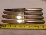4 Guy Degrenne 9 5/8" Hollow Dinner Knives Beau Manoir-blois Nice!!. Fixed Price $35.00.
