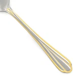 Hampton Silversmiths HSV209 Stainless Beaded Gold Accent Outline Choice Flatware. Fixed Price $9.89.
