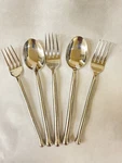 Gourmet Settings Exotique Platinum 18/10 Stainless (set Of Five). Fixed Price $20.00.