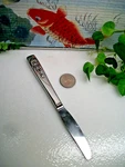Htf Oneida Strawberry Shortcake Stainless Steel Youth Children's Dinner Knife. Fixed Price $24.98.
