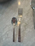 Fortessa Dragonfly Stainless Steel Flatware Fork And Spoon Set. Fixed Price $14.96.