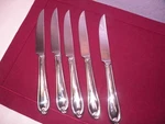 Set Of 5 Lenox Hartleigh Steak Knife Knives 9 3/8 GG4. Fixed Price $44.84.
