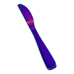 Cambridge Silversmiths Cranston Rainbow Stainless Mirror Flatware Dinner Knife. Fixed Price $6.92.