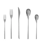 Fortessa Dragonfly 18/10 Stainless Steel Flatware 5 Piece Place Setting. Fixed Price $56.95.
