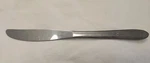 Everlasting Stainless Atomic Flatware EVR1 Solid Handle Dinner Knife 8 1/4". Fixed Price $5.99.