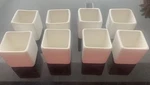 Fortessa Fortalux 1 3/4 Square Ceramic Sauce Dipping Dish 8PC Set. Fixed Price $15.99.