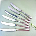 6 X Vintage Roberts & Dore Sheffield Table Knives Stainless Steel England 21.5CM. Fixed Price $20.67.