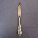 Oneida Stainless Flatware Renoir / Pembrooke Dinner Knife Usa. Fixed Price $7.99.