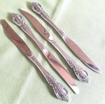 Oneida Stainless Renoir-pembrooke Pattern 4 Dinner Knives 9" Floral. Fixed Price $10.99.