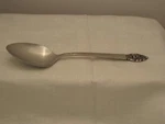 Oneida Community Vinland Dinner Serving Spoon (s) Stainless 1989. Fixed Price $17.95.
